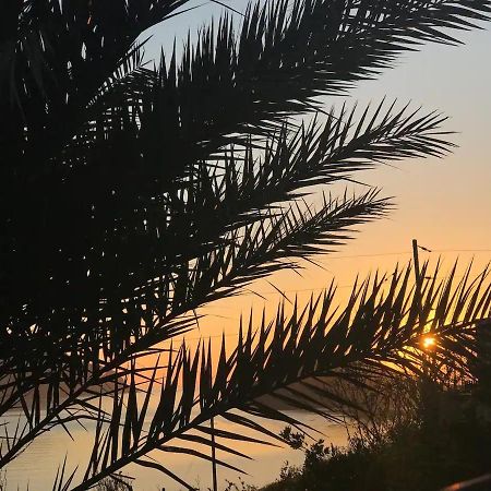 Villa Konstantina Skalia ภายนอก รูปภาพ