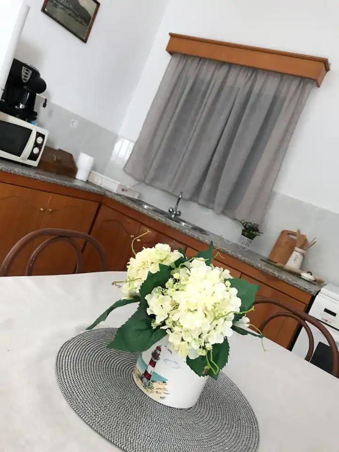 Villa Konstantina Skalia ภายนอก รูปภาพ