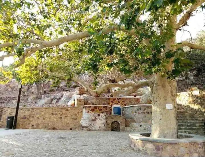 Villa Konstantina Skalia ภายนอก รูปภาพ